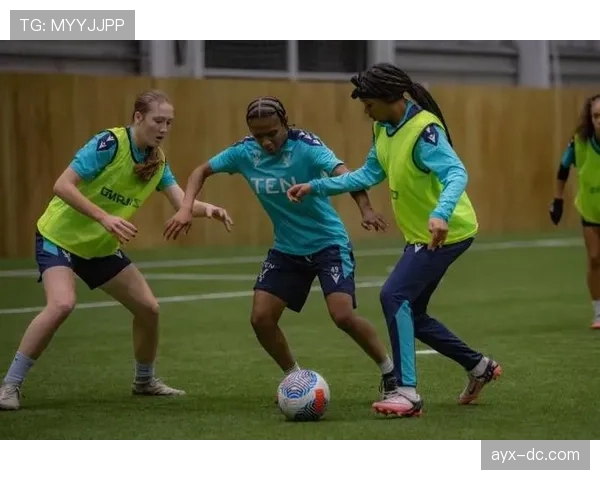 水晶宫公布未来发展规划：聚焦青训体系升级与球迷体验优化