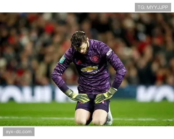 里奥主帅解析球队攻防兼备新面貌，全新风貌引球迷期待